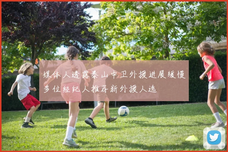 媒体人透露泰山中卫外援进展缓慢多位经纪人推荐新外援人选
